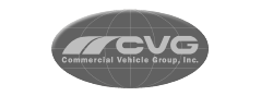 CVG logo escala de grises