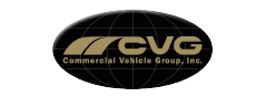 CVG logo a color