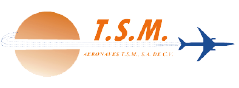 TSM logo a color